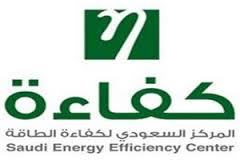 wp content uploads 2014 04 كفاءة 0