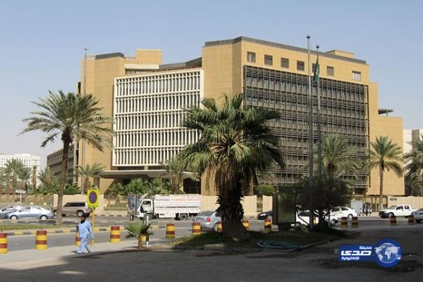 المالية