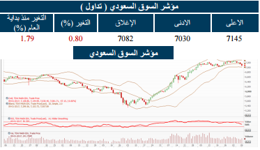 الجزيرة