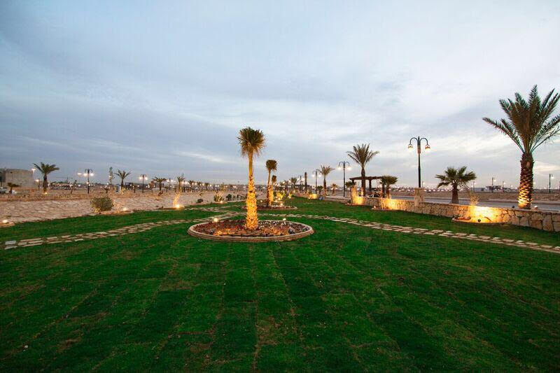 عنان1