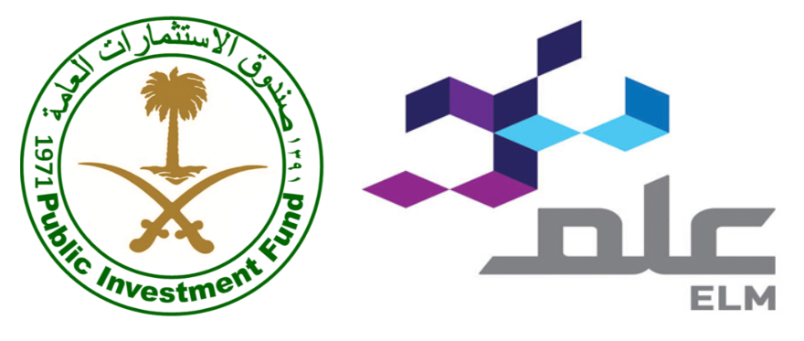 الاستثمارات العامة وعلم